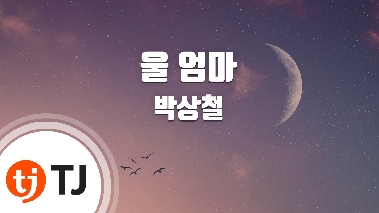 [TJ노래방] 울 엄마 - 박상철 (My Mother - Park Sang Chul) / TJ Karaoke