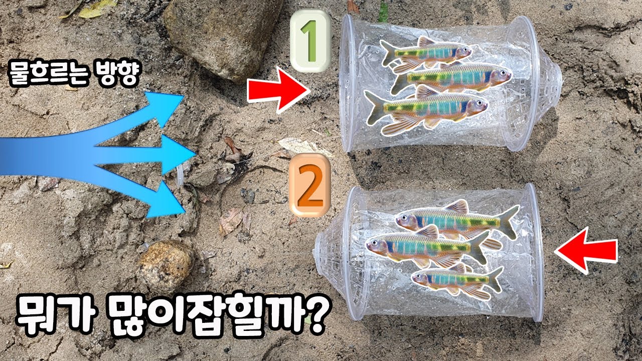 비닐어항 (어포기) 방향 헷갈리셨죠? 어포기 방향논란 직접 확인해봤습니다. 물고기 수백마리 모임ㄷㄷ