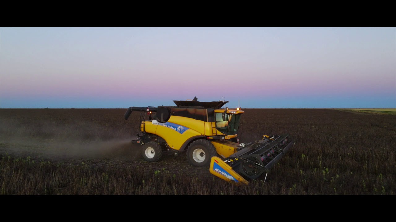 Faba beans Harvest  Walgett NSW Australia I 4K Drone Footage