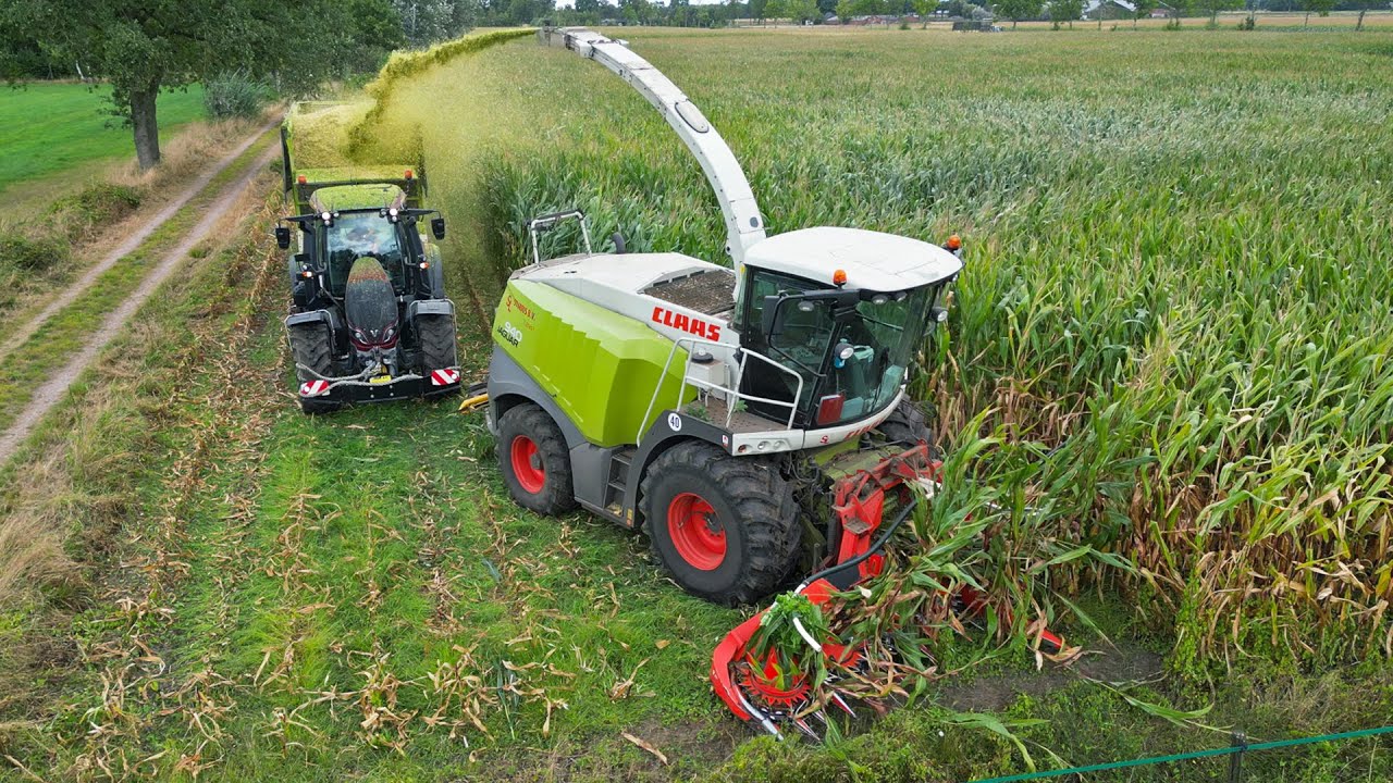 Mais Silage 2025 | Claas Jaguar + Valtra's | Sturris Laren