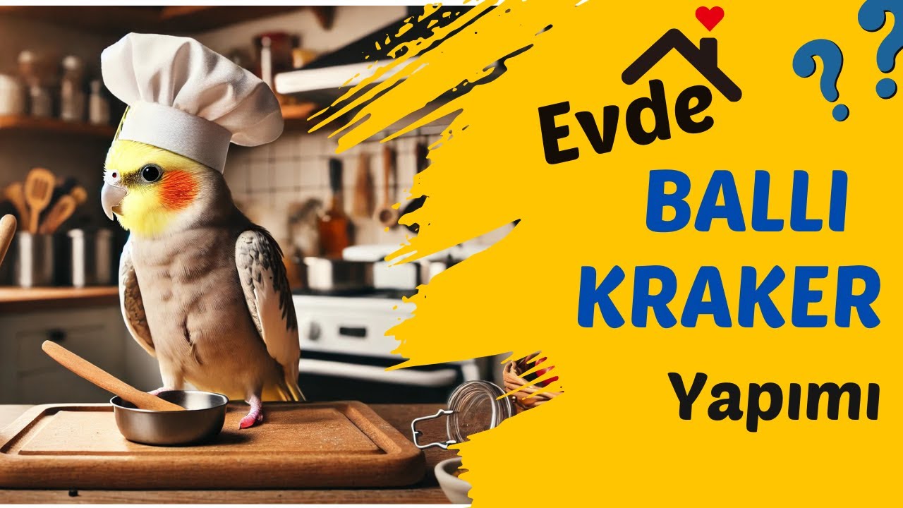 Evde Ballı Kraker Yapımı!! (Tüm Kuşlar İçin)