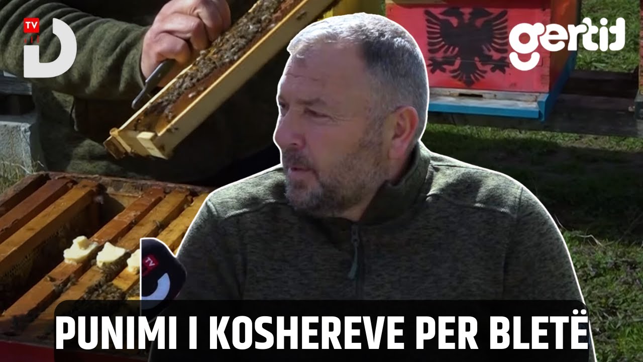 Punimi i koshereve per bletë | Traditat Tona | DTV Media