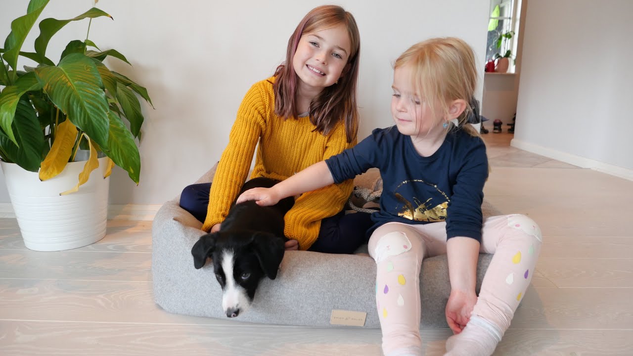 Valpen Mandy flyttar hem till familjen ❤️