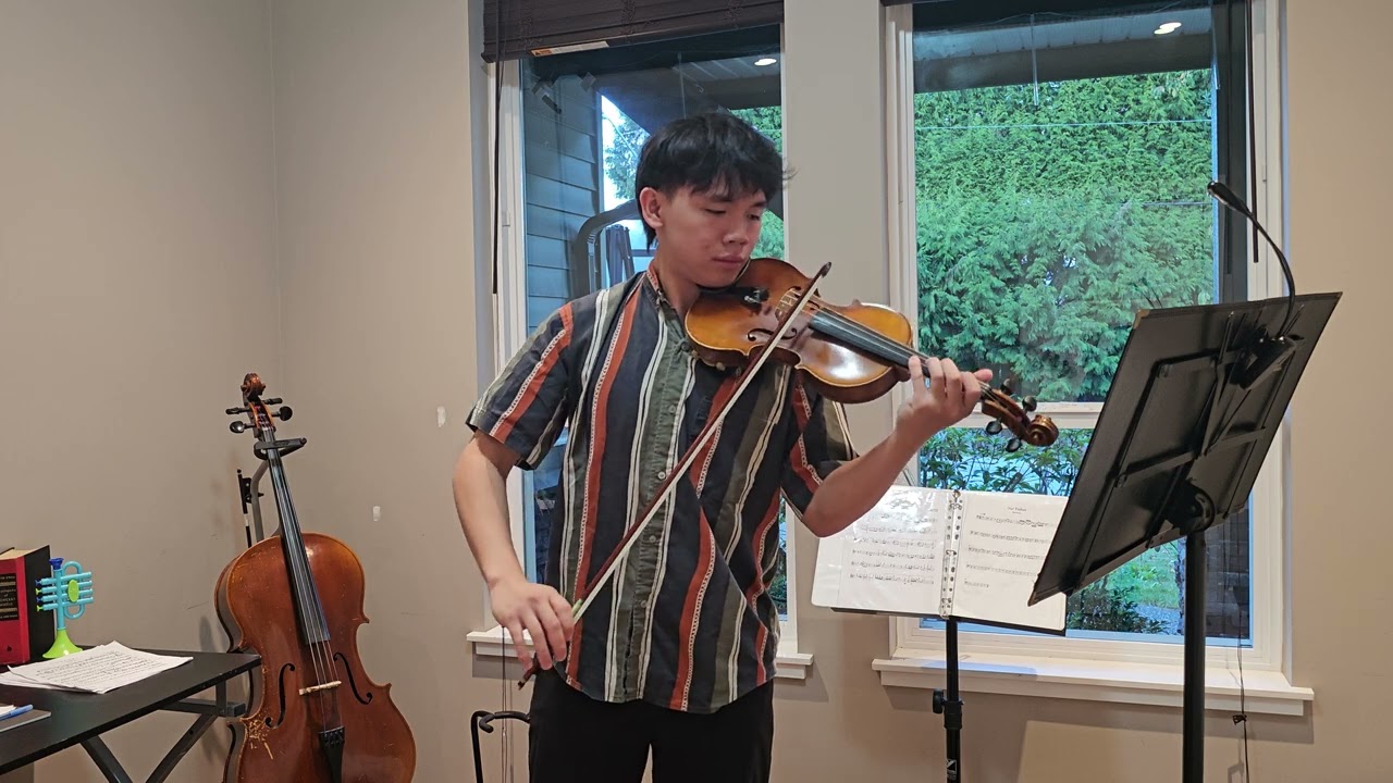 Forevermore (Violin cover)