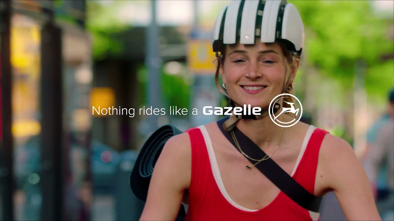 Nothing Rides Like a Gazelle | Gazelle bikes & Electric bikes