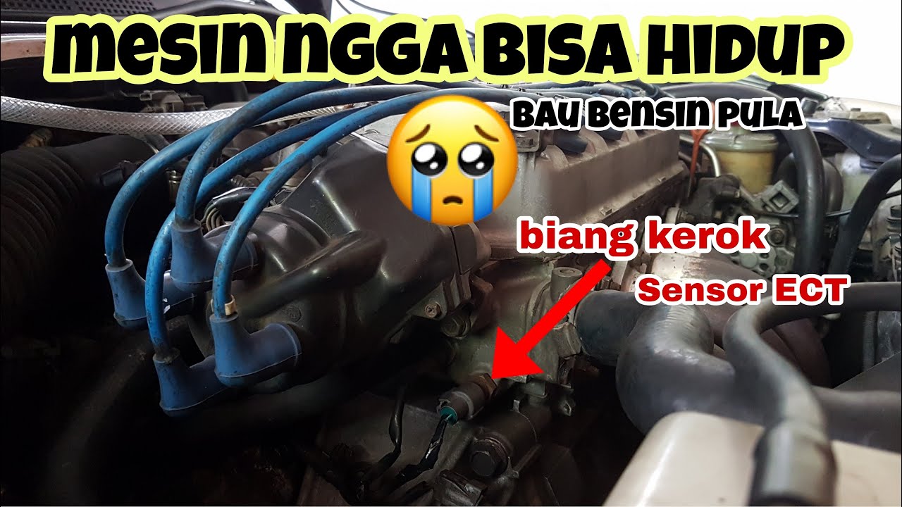 Kabel Socket ECT putus, mesin ferio tidak bisa hidup