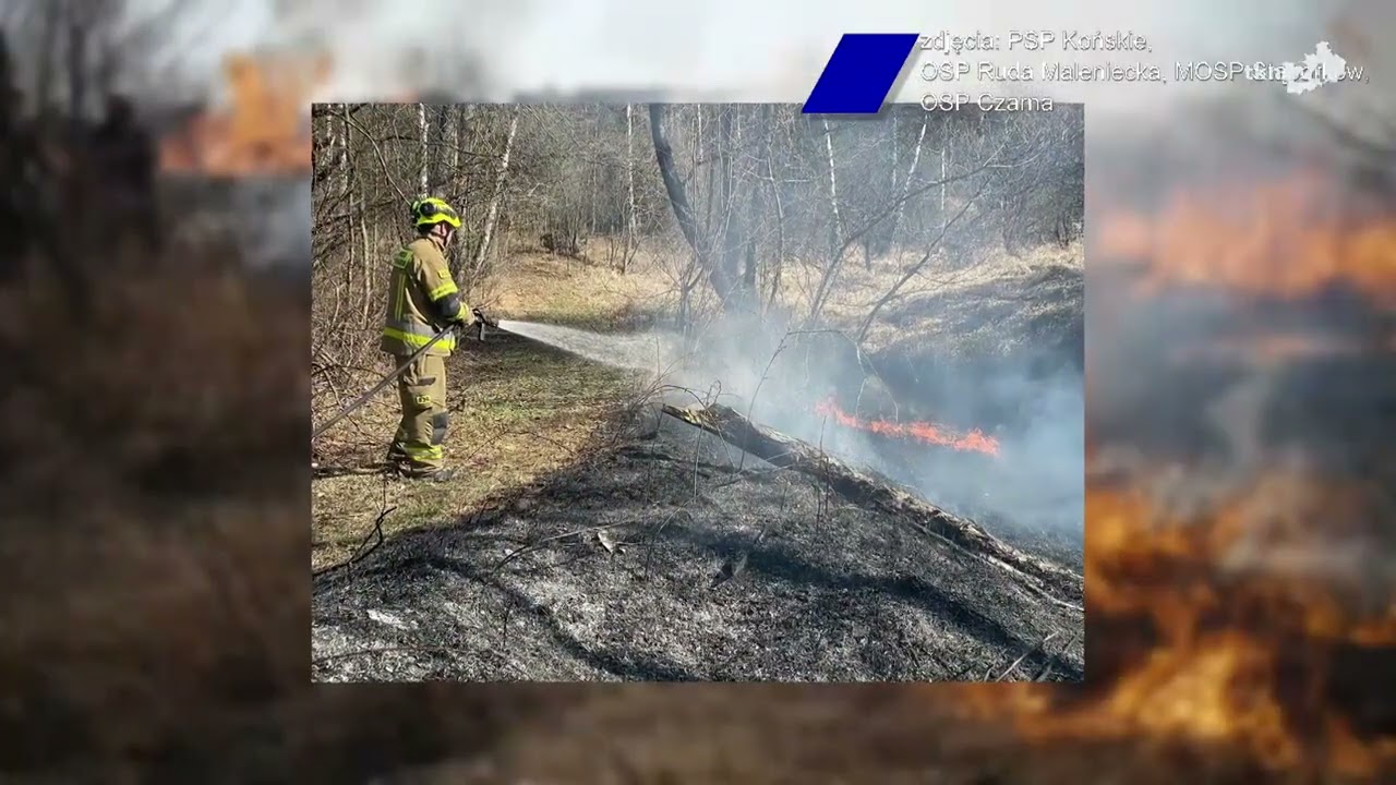 Coraz więcej pożarów traw w powiecie koneckim. Strażacy alarmują