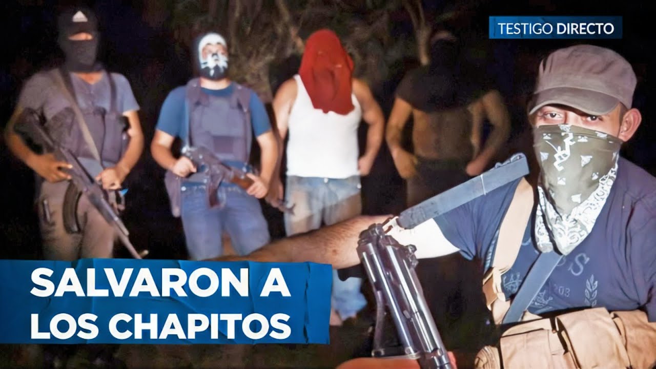 Los Vigilantes del Cártel de Sinaloa: Así Salvaron a Los Chapitos de Su Fin