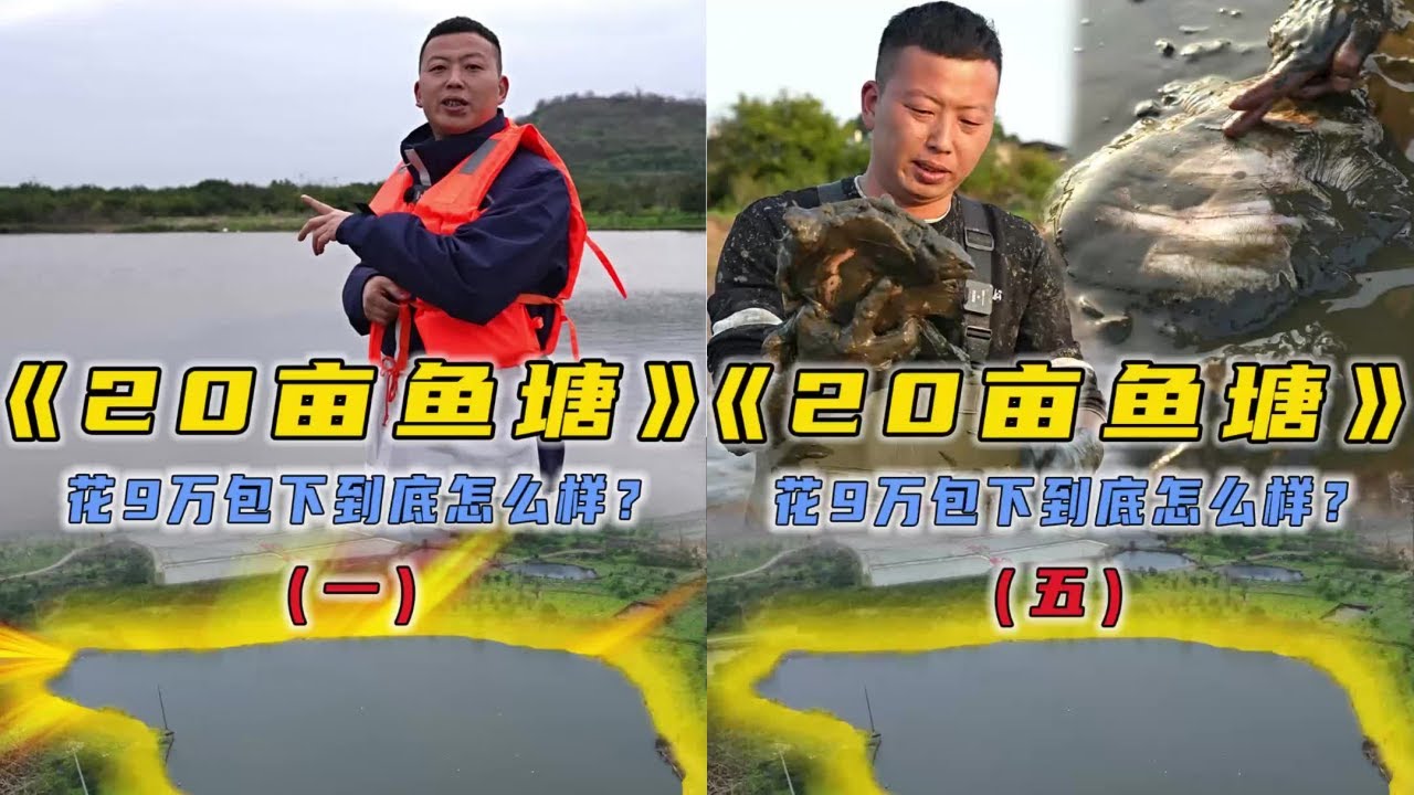花9万包下20亩的大鱼塘，里面的鱼到底有多大？｜花6.6万包下一个大鱼塘，干底后里面到底会有多少鱼？｜花8万包下40亩的大鱼塘，看看里面究竟有多少鱼！
