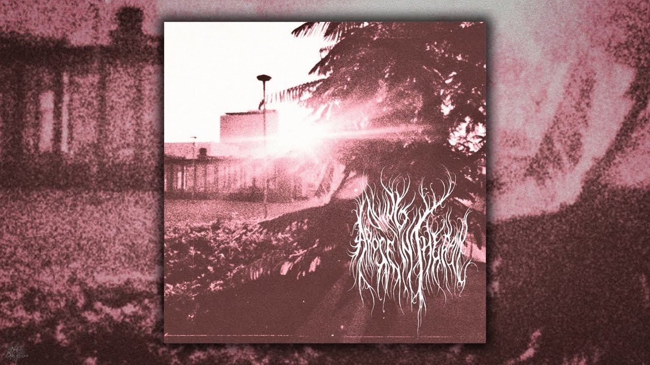 A Rose Dying In The Rain - Eternal Sunset (Album) (2024)