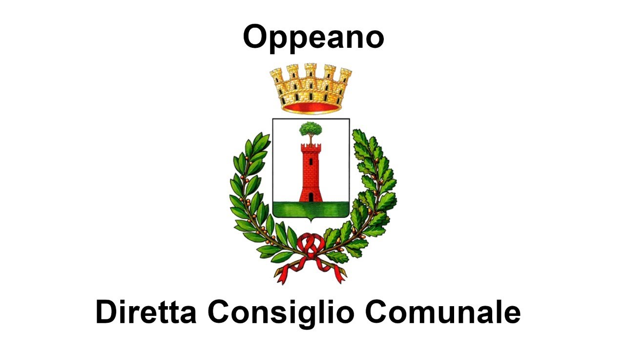 Diretta Consiglio Comunale del 31/12/2024