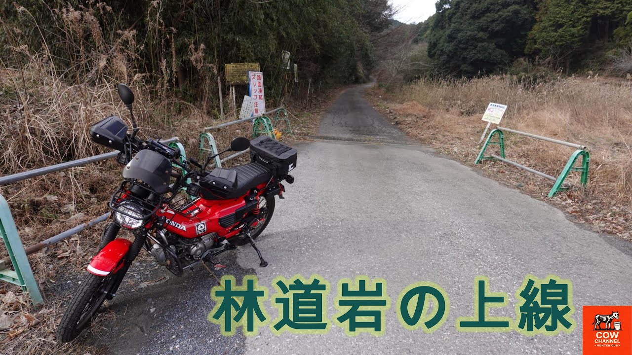【COW】林道岩の上線