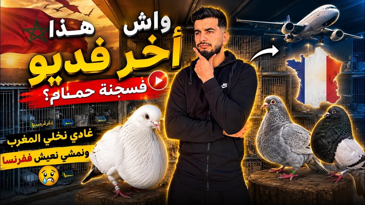 أخير فديو فسجنة ؟😱 أخير فديو فلبلاد 🇲🇦👋🏻