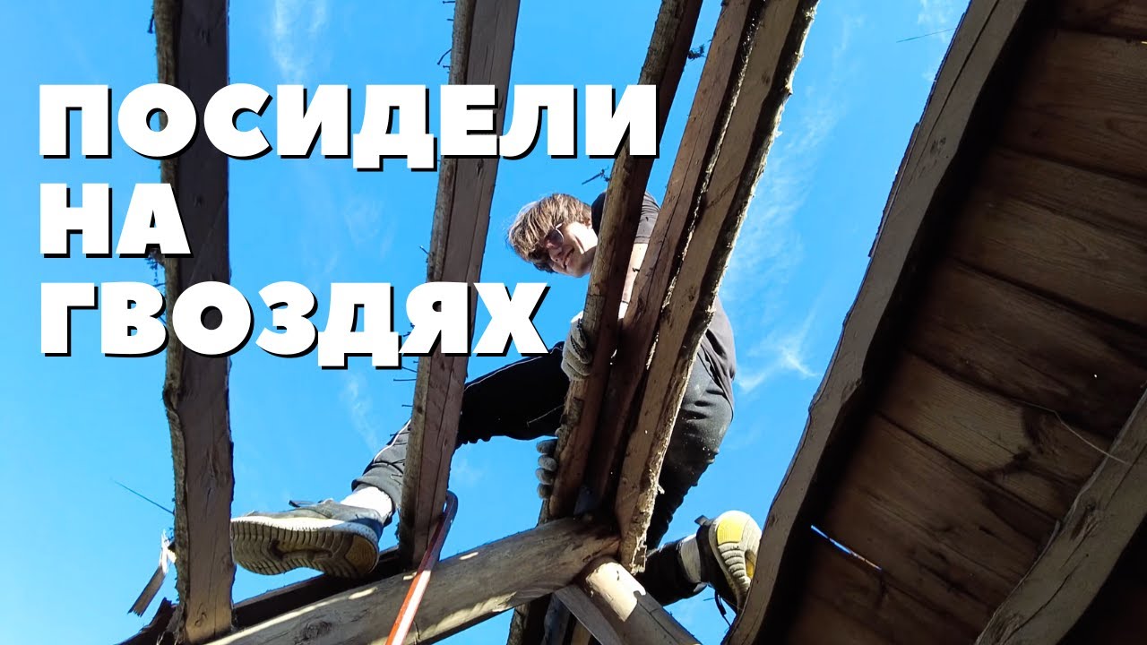 разобрали крышу сарая и встретились с беби летучей мышью