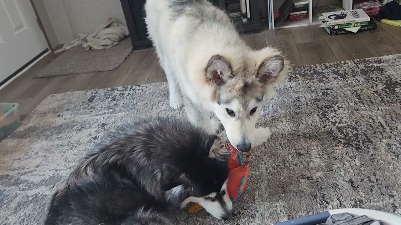 Sisters play time @