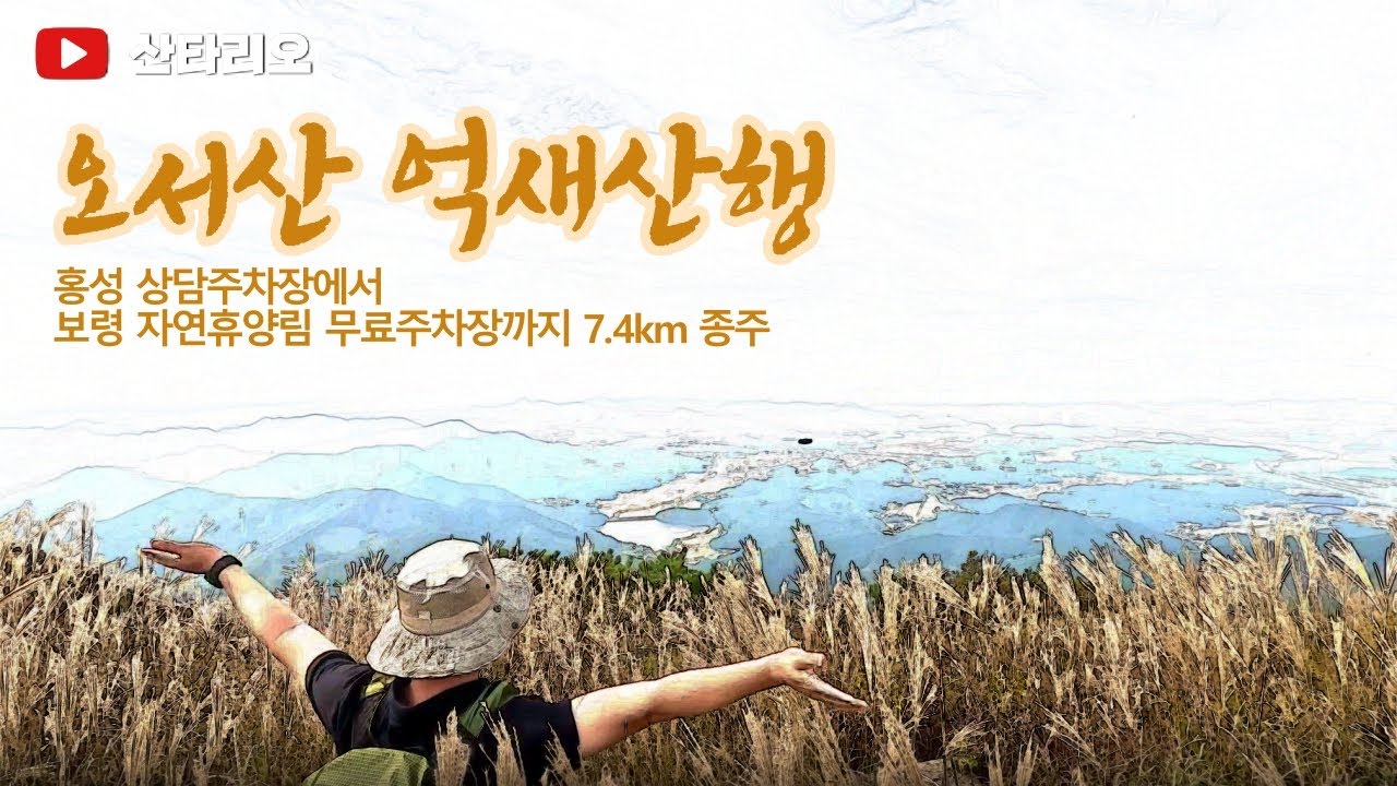 오서산 억새산행 🖼️ 홍성에서 보령까지 7km 짧은 종주