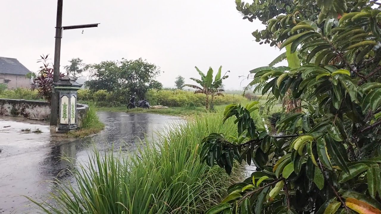 Hujan sore hari di pedesaan yang sepi | Suasana hening tanpa aktivitas penduduk