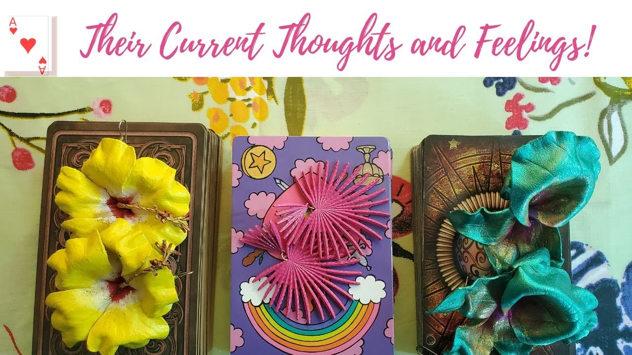 THEIR THOUGHTS AND FEELINGS FOR YOU- PICK A CARD