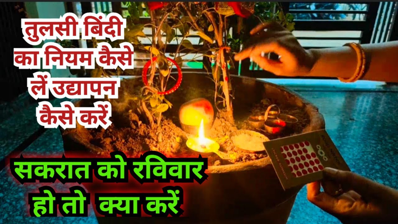 तुलसी बिंदी का नियम कैसे लें उद्यापन कैसे करें सकरात को रविवार हो तो क्या करें || makar sakranti..