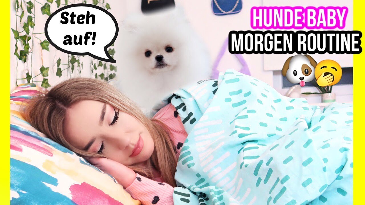 fluffy HUNDE BABY MORGEN ROUTINE **ICH zeige EUCH wirklich ALLES von WELPEN wie Sie aufsteht**