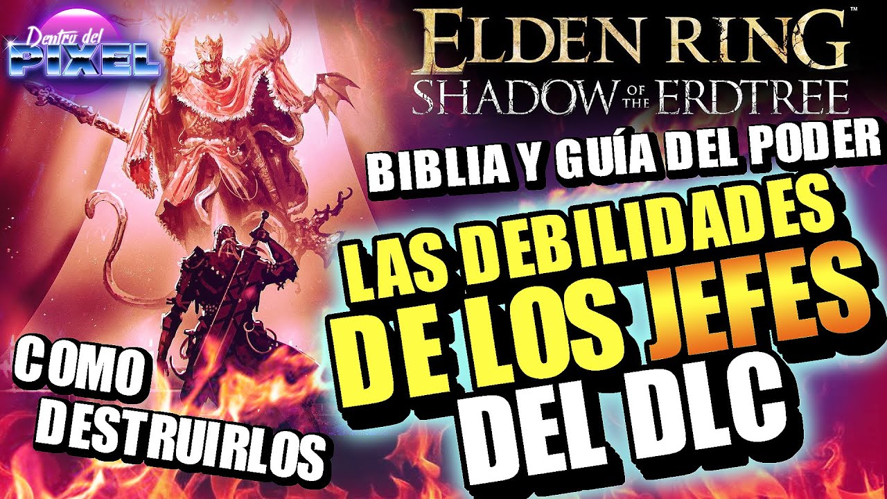 ELDEN RING Shadow of the Erdtree LAS DEBILIDADES DE LOS JEFES | guías y SUPER BUILDS recomendadas
