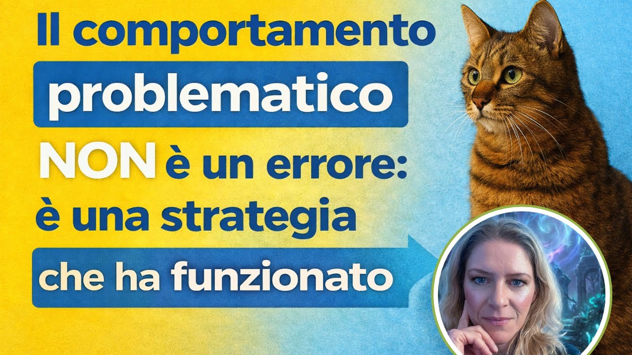 Il comportamento problematico del tuo gatto non è un errore