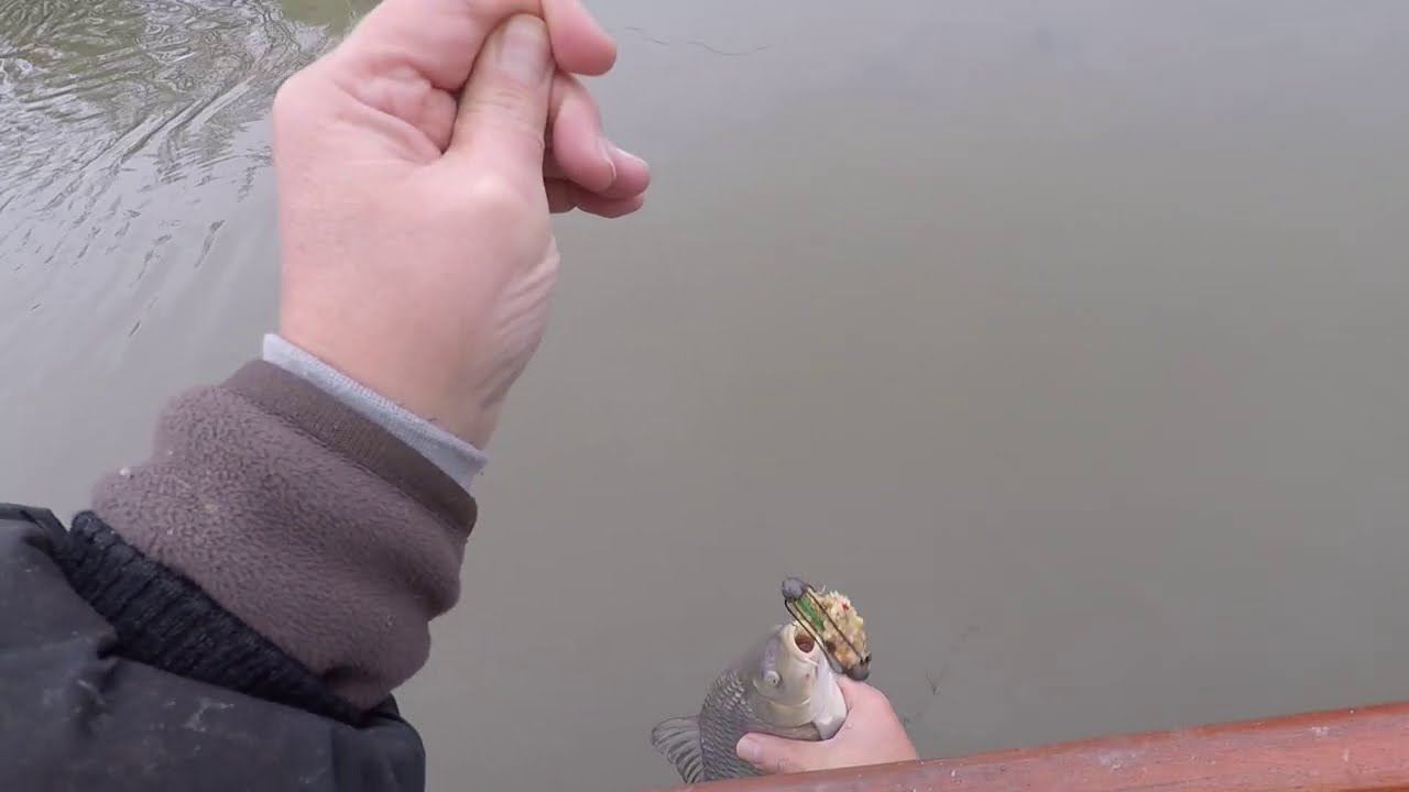 KECSEGE SZERŰ KAP&Aacute;S...T&Eacute;LI TISZAI PONTY KAP&Aacute;S+VISSZAEENGED&Eacute;S...FHD