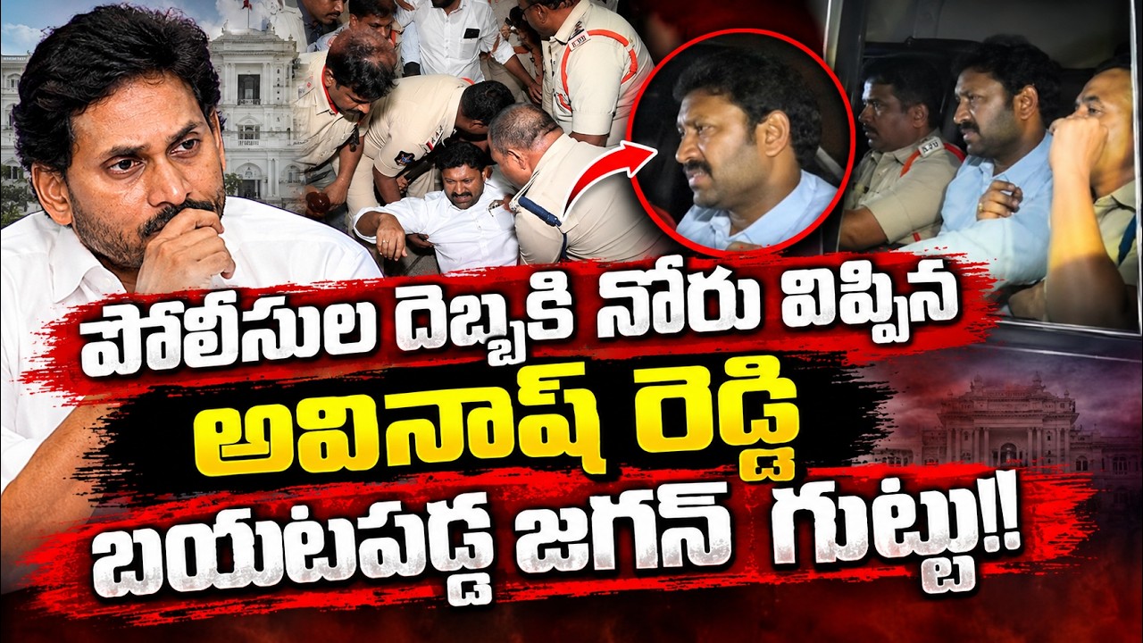 Big Breaking News On Viveka Case Avinash Reddy Speaks Out? Big Twist In Viveka Case || Cult Politics