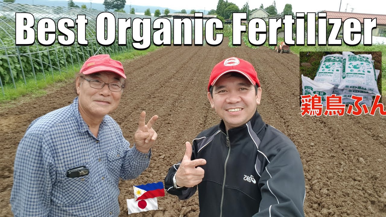 BEST ORGANIC FERTILIZER IN JAPAN