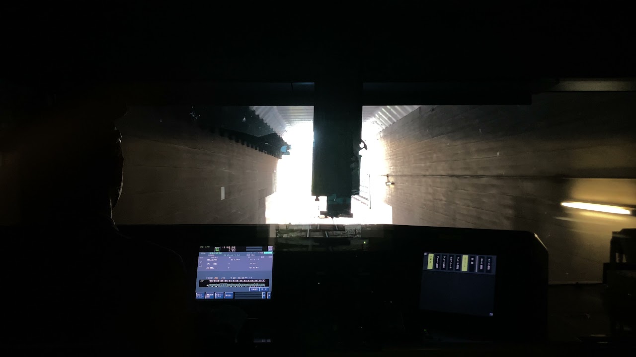 [渋谷駅改良工事による臨時便]山手貨物線臨時品川行　E233-3000