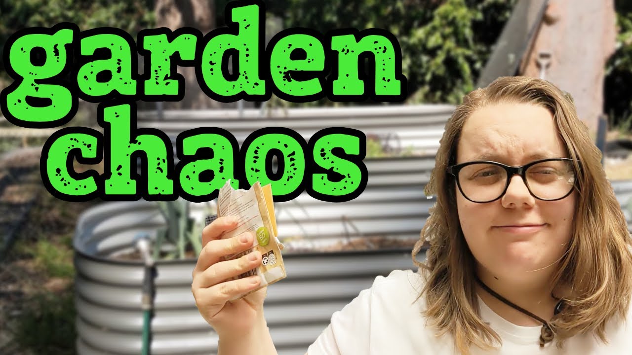 Weeding & Planting: Chaos in the Front Garden