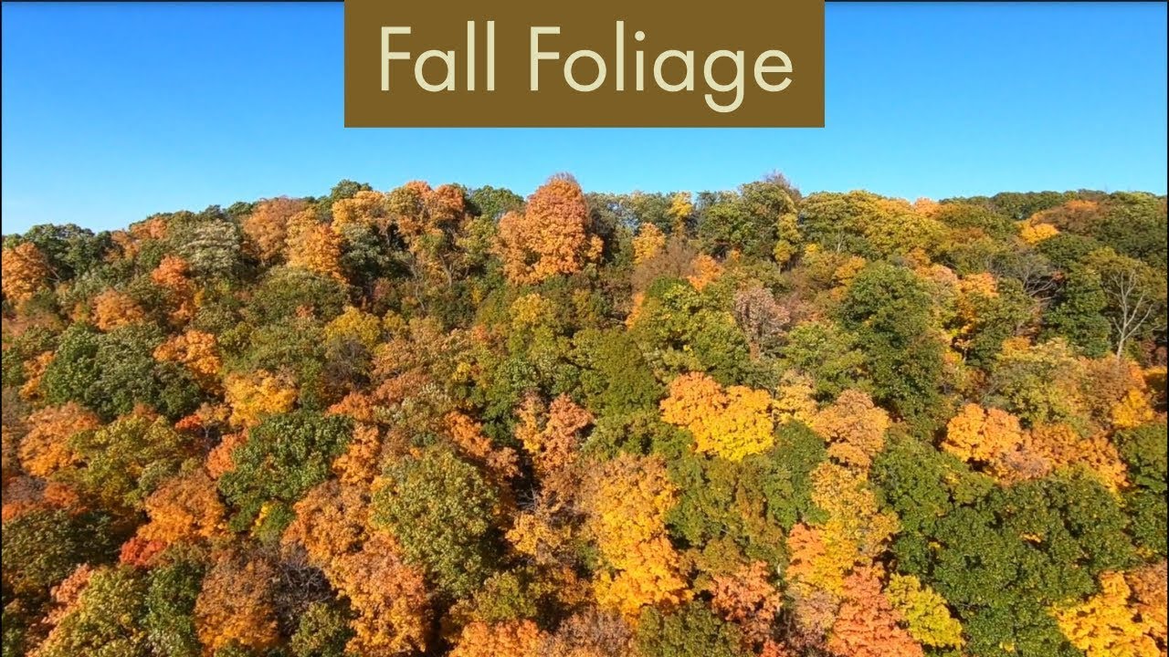 Missouri Fall Colors Cinematic 4k Aerial Drone [HD]