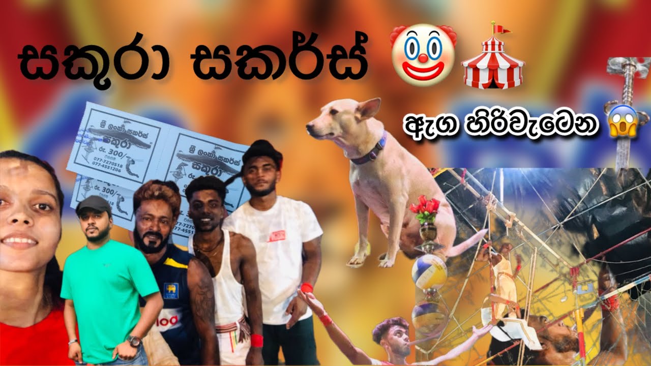 That Talent 👌 ඇග හිරිවැටෙන Sakura Circus Show 🤡🎪 Sri Lanka Circus 
