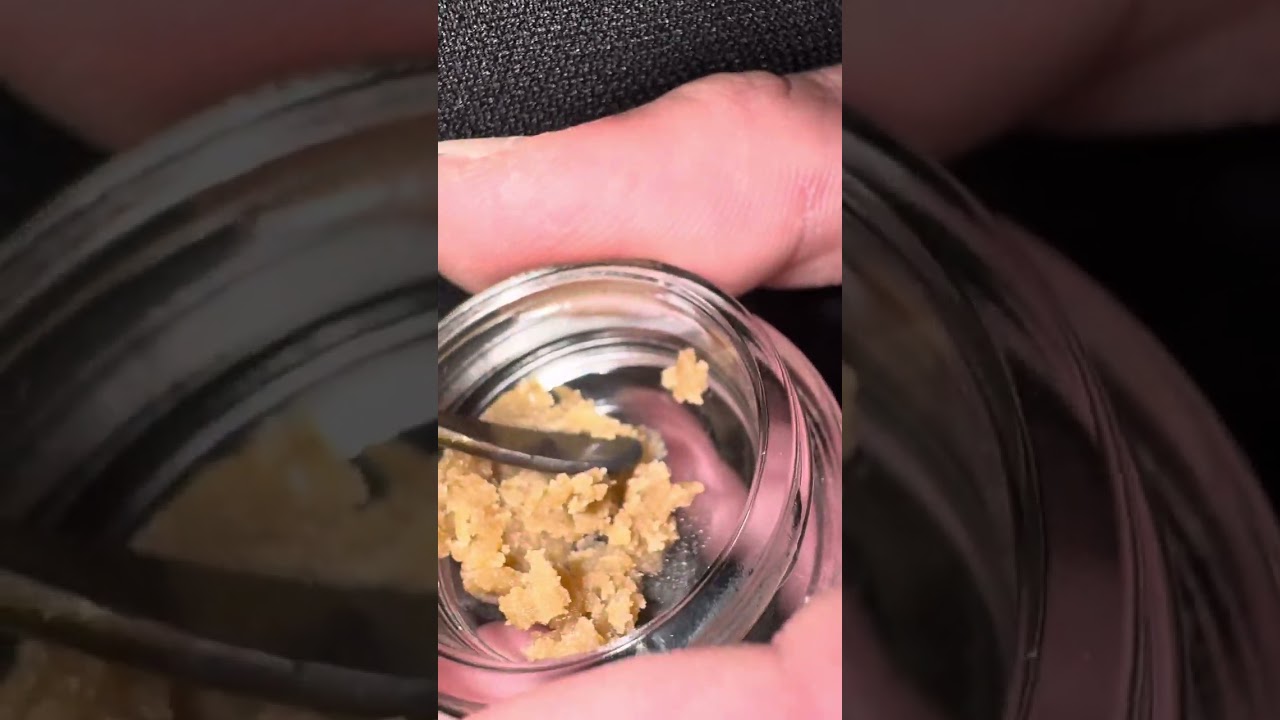 TERPY TIME TASTE BUDS - NEW DROP!!!! KALYA EXTRACTSxUNCLE&rsquo;S FARM - Z - PIATELLA HASH #piatella #2024