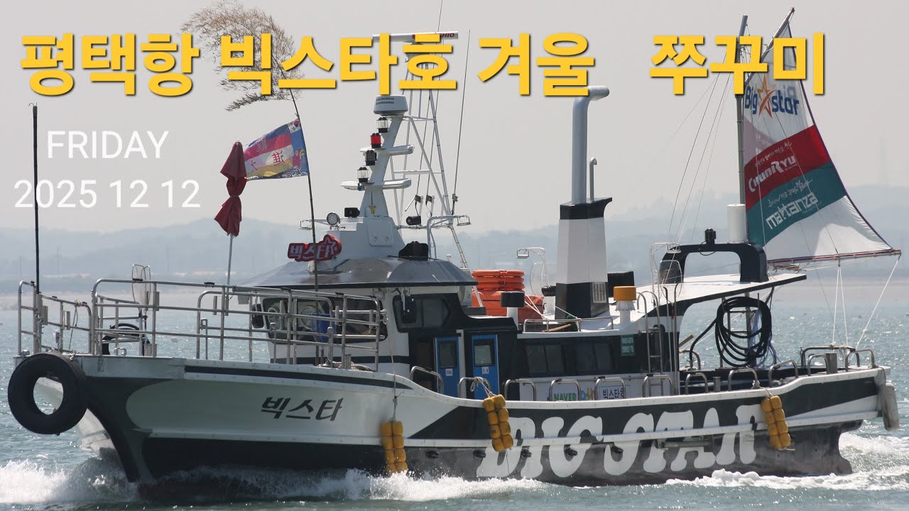 평택항 겨울 쭈꾸미