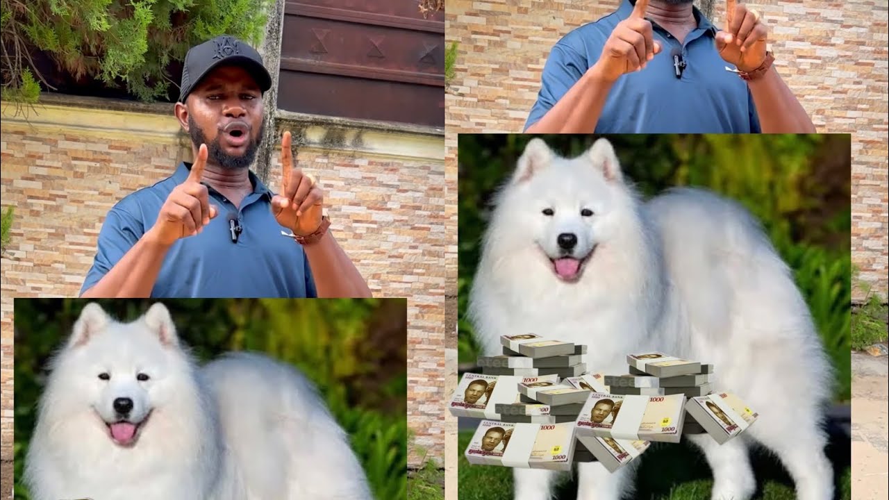 Lekki Billionaire ritu@@list makes shocking confession 💔 (Things Dey happen)💔🥲
