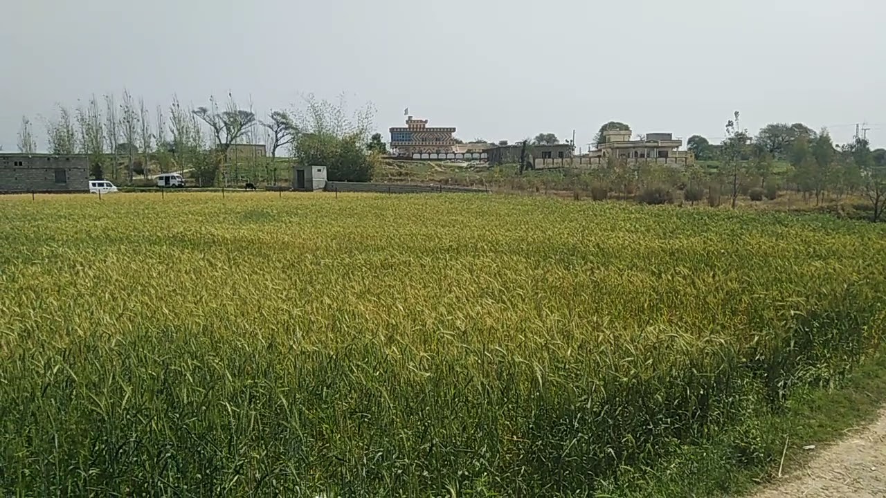 Kallar Sayedan. A beautiful village in the heart of twin cities
