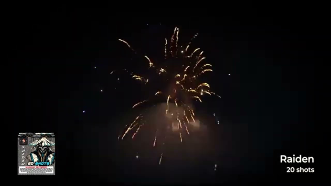 Raiden 20's - multi shot