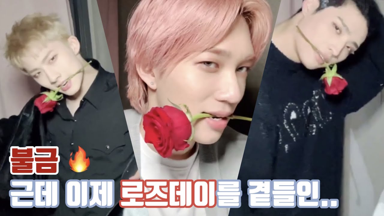 [피원하모니] 01즈의 로즈데이.. 🌹