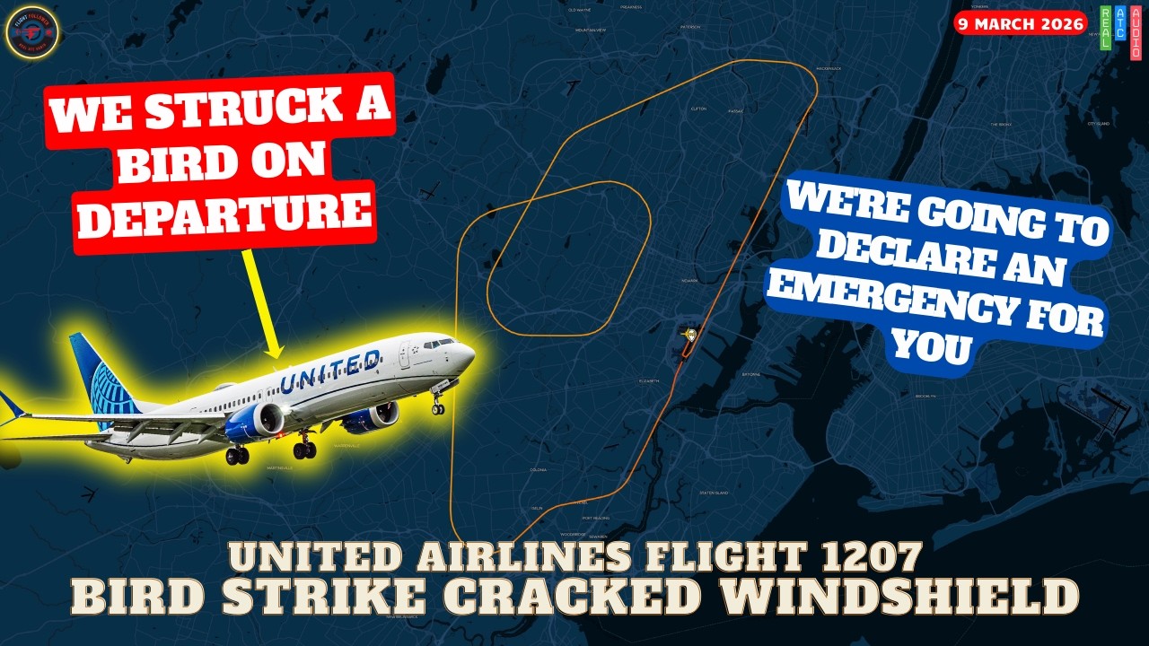 (Срочная новость) Самолет United 737-8 Max в Ньюарке столкнулся с птицей. Треснуло лобовое стекло...