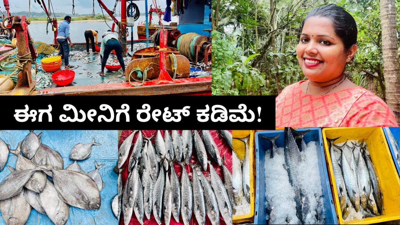 ಮಂಗಳೂರು ಮೀನು ದಕ್ಕೆಗೆ ಹೋಗಿ ಬಂದೆ ಹಾಗು ಮನೆಯ ರೂಟೀನ್ ವ್ಲೋಗ್ । Daily Routine Vlog