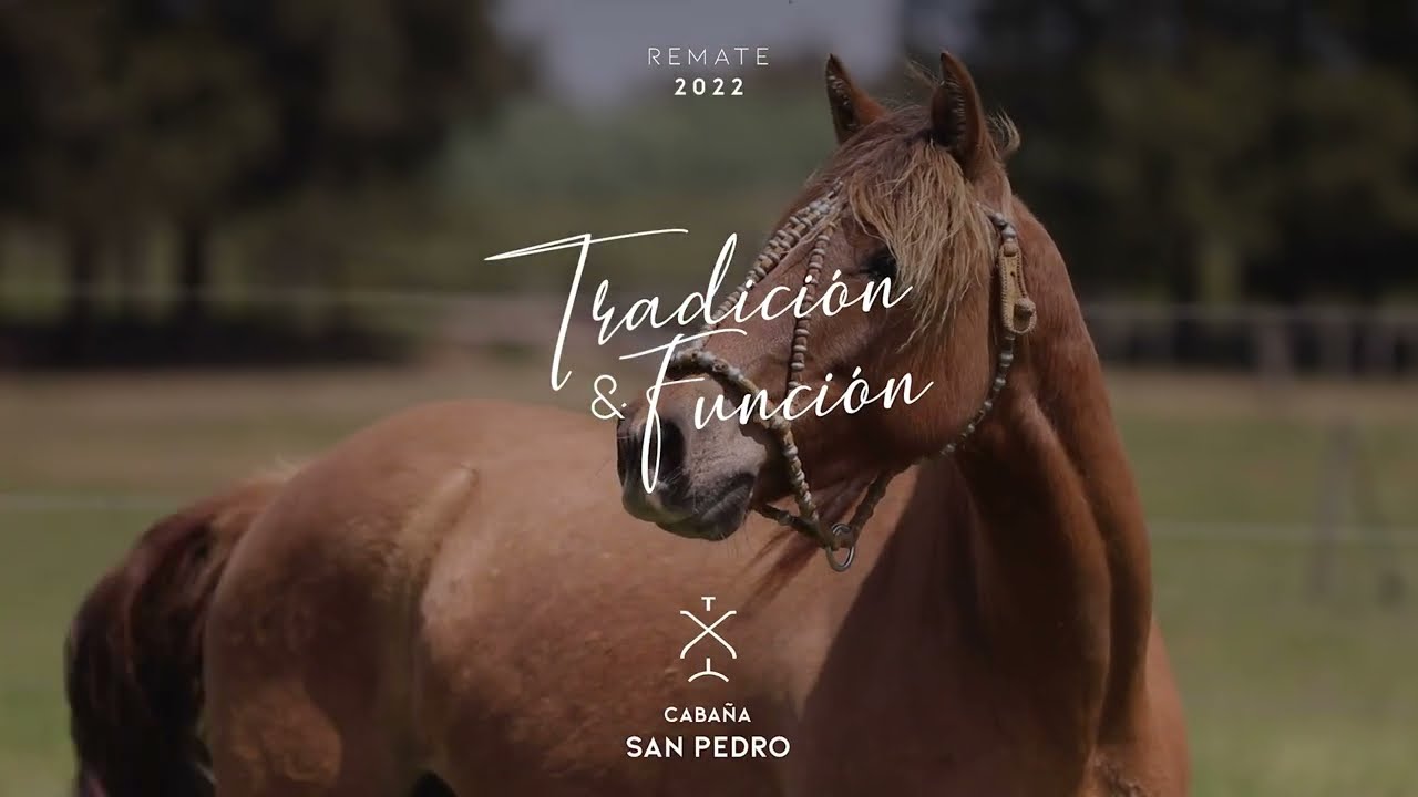 San Pedro Lote 13 RP 266