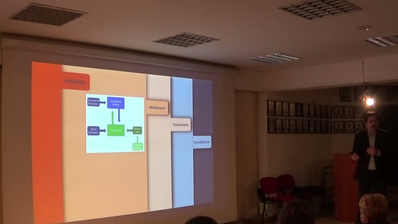 Cerrahi Sonrası Kronik Ağrı:mekanizma,rejyonel yöntemlerin katkısı ve adjuvan ilaçlar