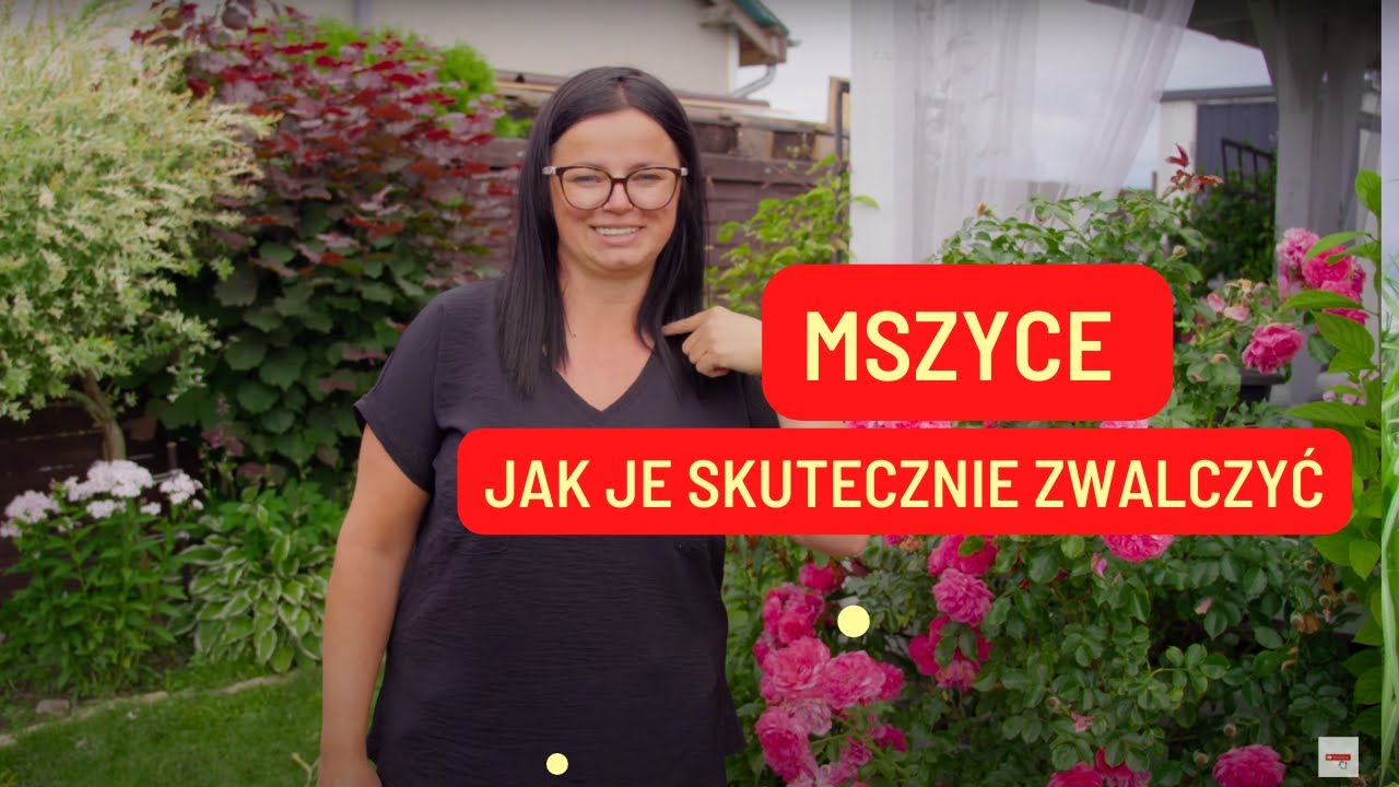 MSZYCE JAK JE SKUTECZNIE ZWALCZYĆ