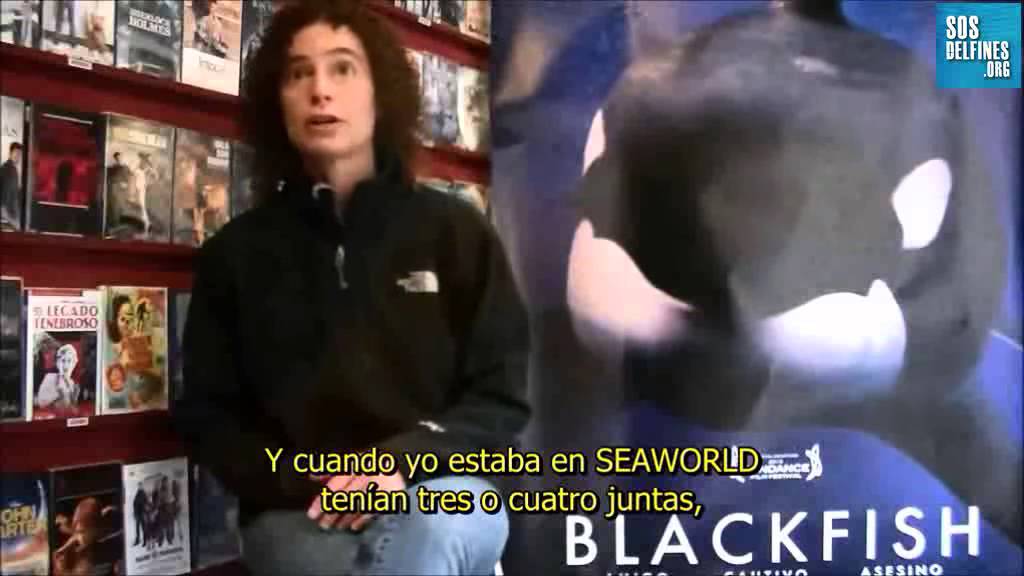 SOSdelfines entrevista a Samantha Berg, ex adiestradora de orcas