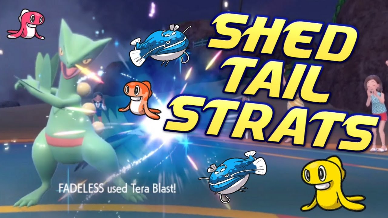 Shed Tail Sceptile! Pokemon VGC 2024 Scarlet/Violet Reg F Competitive Bo3 OTS Battle