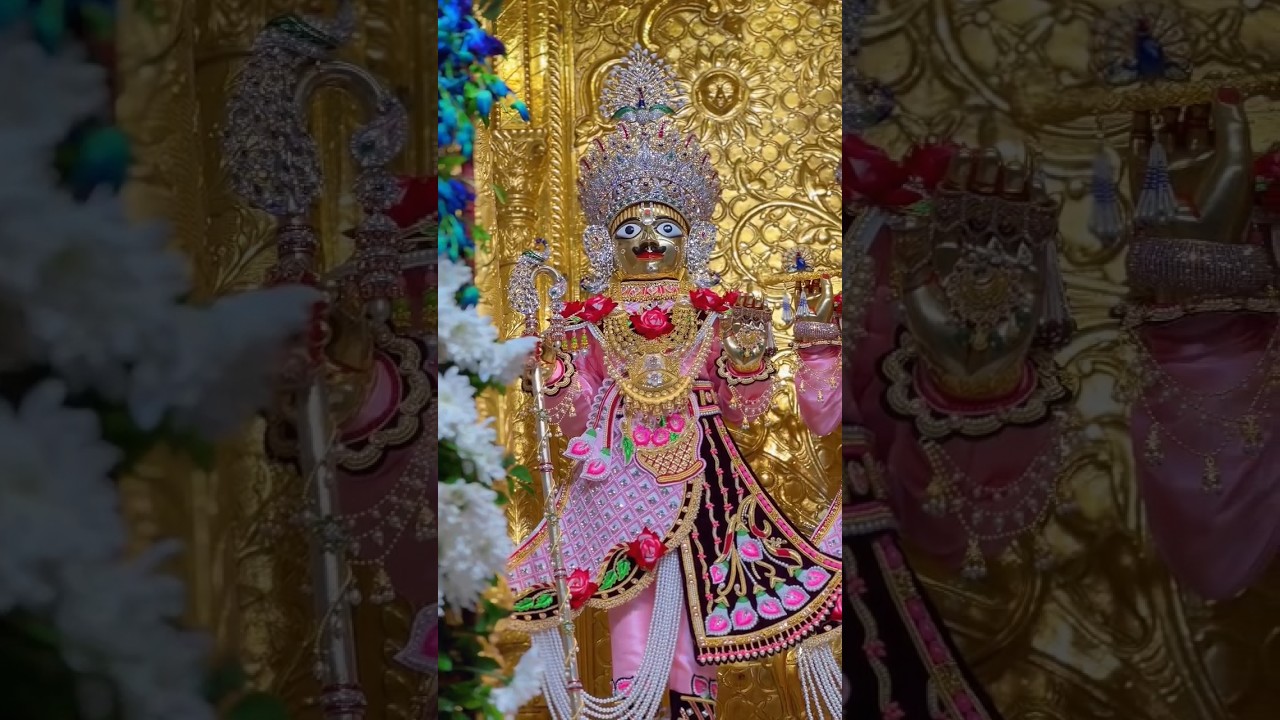 Jay swaminarayan 🙏🙏#rinkushiv #vadtal #vadtaldham