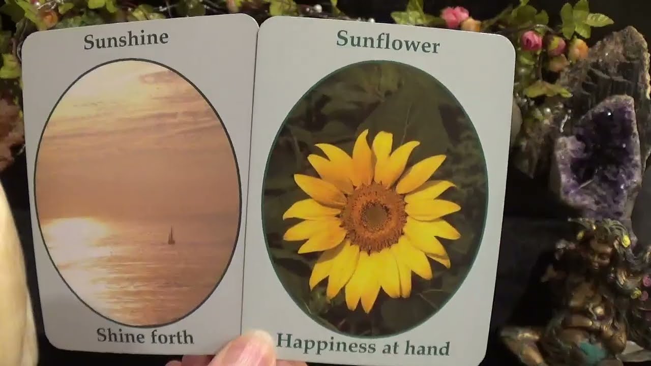 ♑️Capricorn | ☆ The Twist Of Fate You’ve Been Asking For ☆ | Urgent Spirit Guide Messages