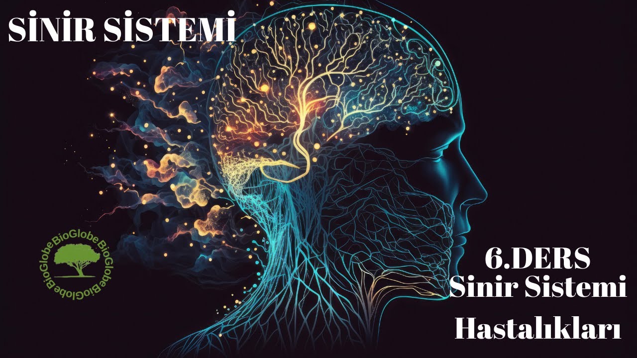 11. sınıf Biyoloji -Sinir Sistemi Hastalıkları