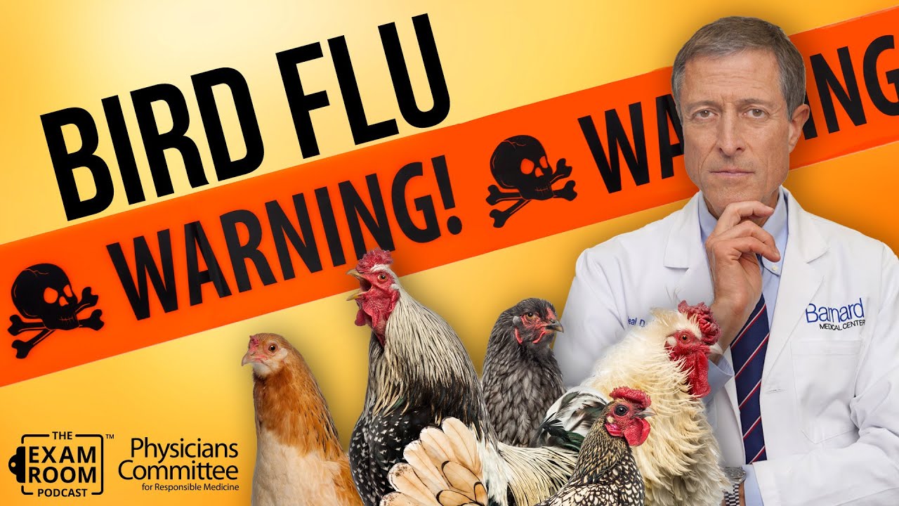Bird Flu Warning: What You Need to Know | Dr. Neal Barnard | The Exam Room Podcast